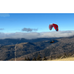 DEMO Way Gliders RUBY 2 HF - 10 flights Way Gliders - 9